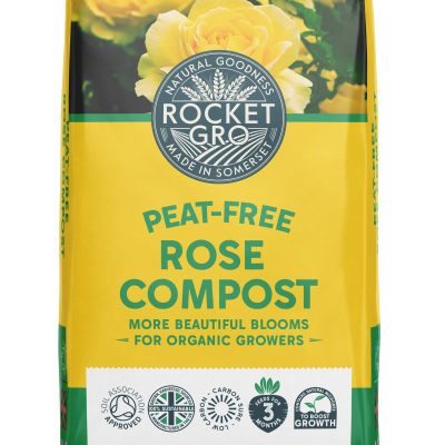 Rose-Front (1) copy Rose-Front (1) copy