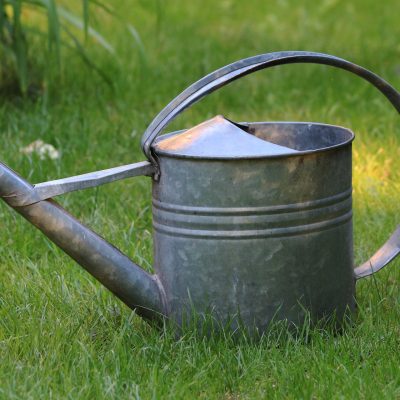 watering-can-828542_1920 watering-can-828542_1920