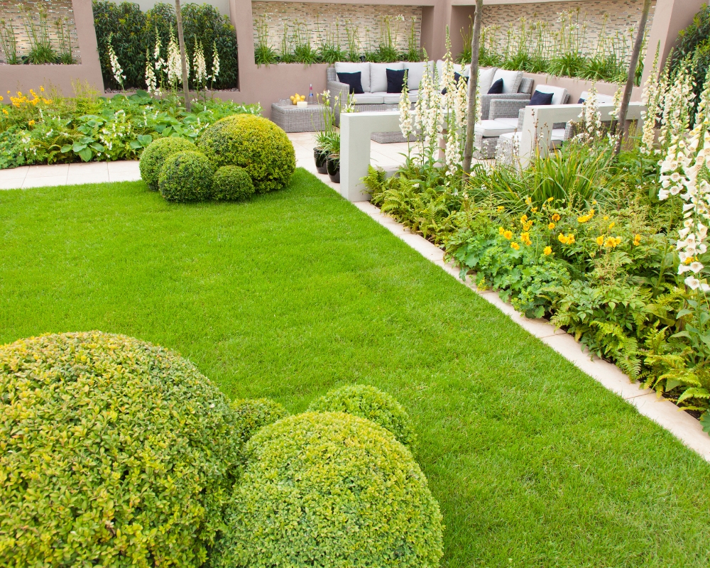 Modern garden with buxus, ferns and digitalis