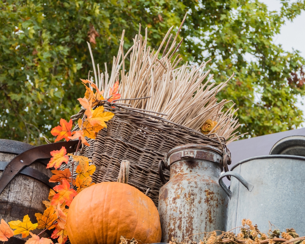 Autumn garden display with leaves, metal milk churn and pumpkin