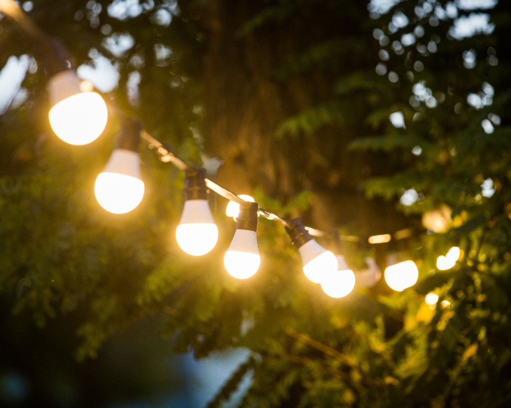 String of garden festoon lights