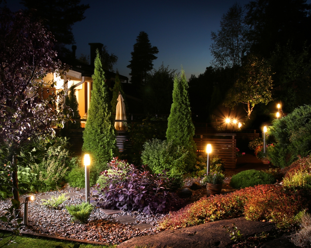 Garden with lighting and conifer trees