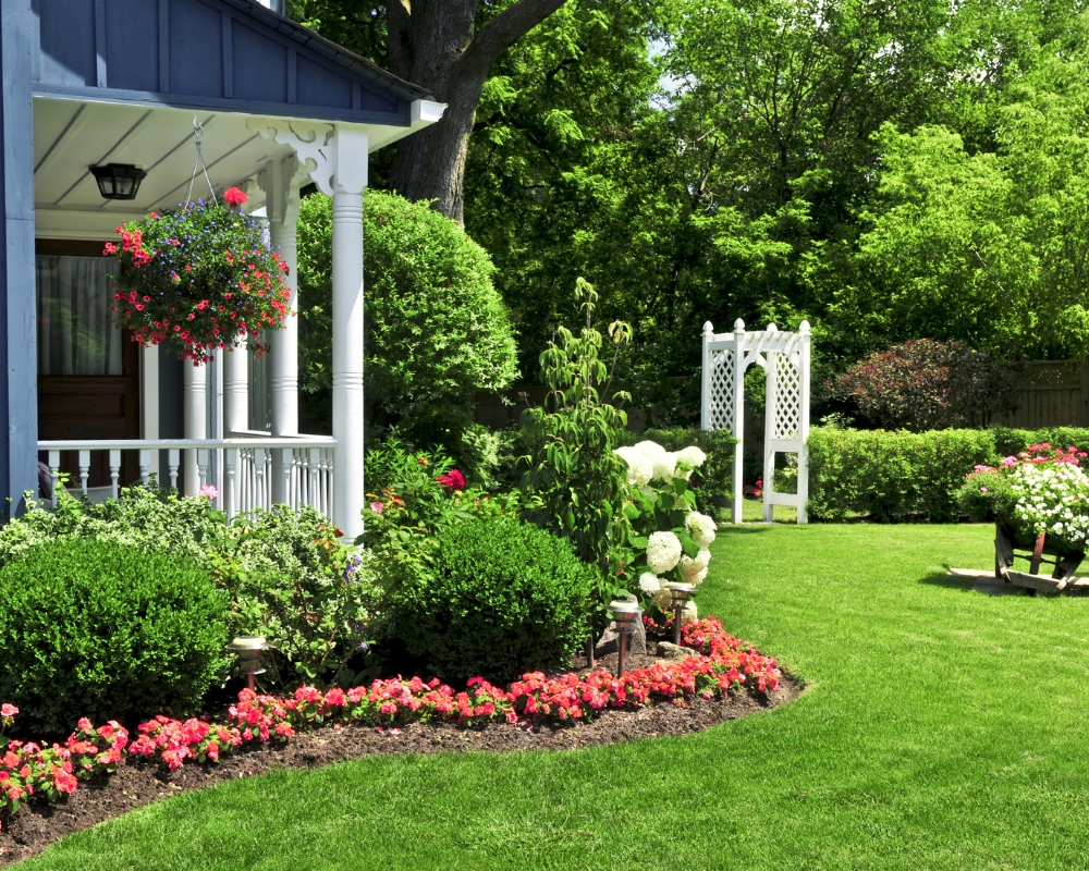 Modern house with curved garden borders and hanging basket