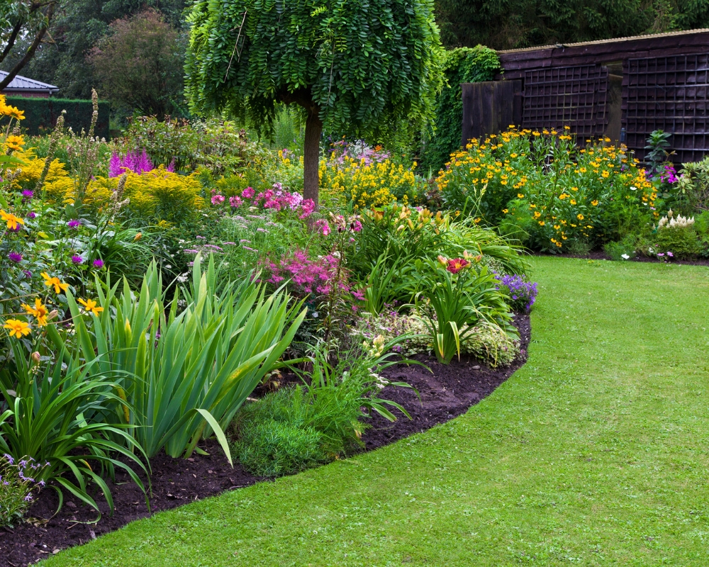 Sweeping border with herbaceous plants