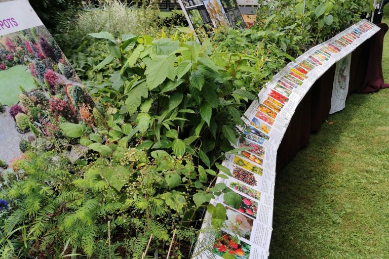 Display of unique plants from jurassic plants