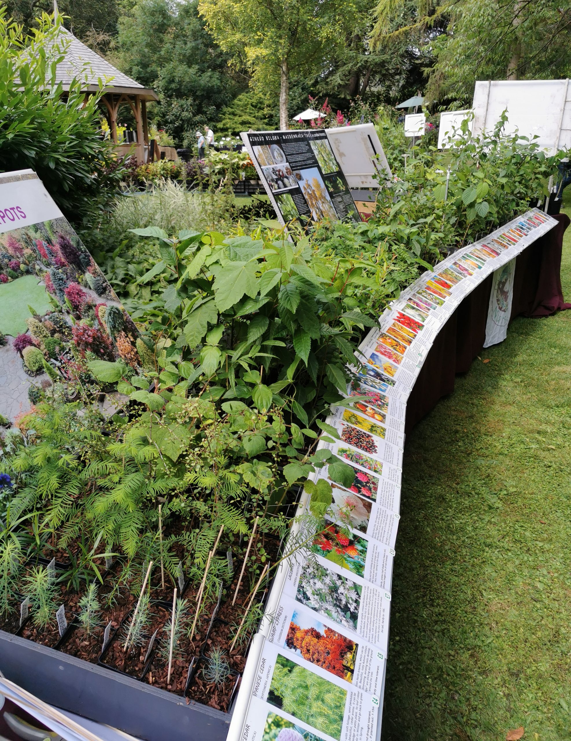 Display of unique plants from jurassic plants