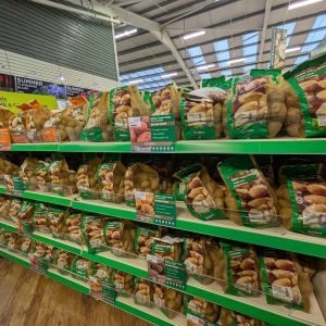 PXL_20250113_145911332