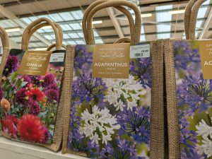 Summer Flowering Bulbs Giftbags