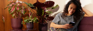 Woman sitting in a living room with wine coloured plant pots in the background