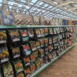 PXL_20260121_141134559#1 Rows of Summer Bulbs