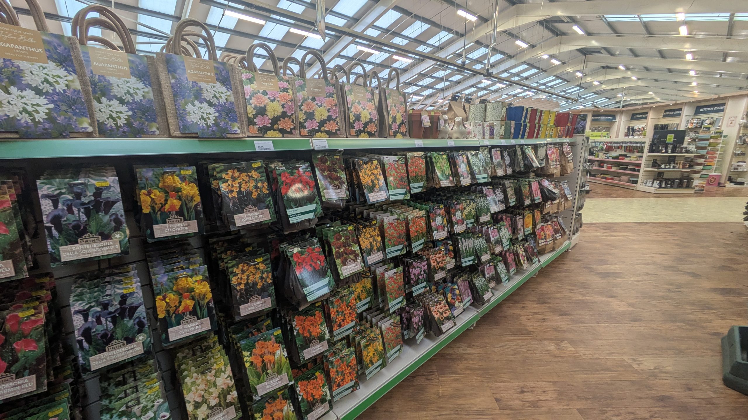 Rows of Summer Bulbs