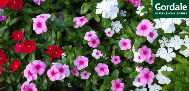 blog photos cover2