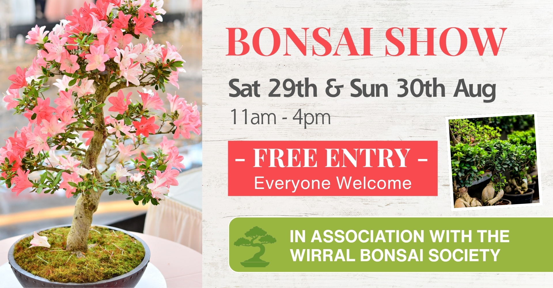 Bonsai Show Carousel 2026