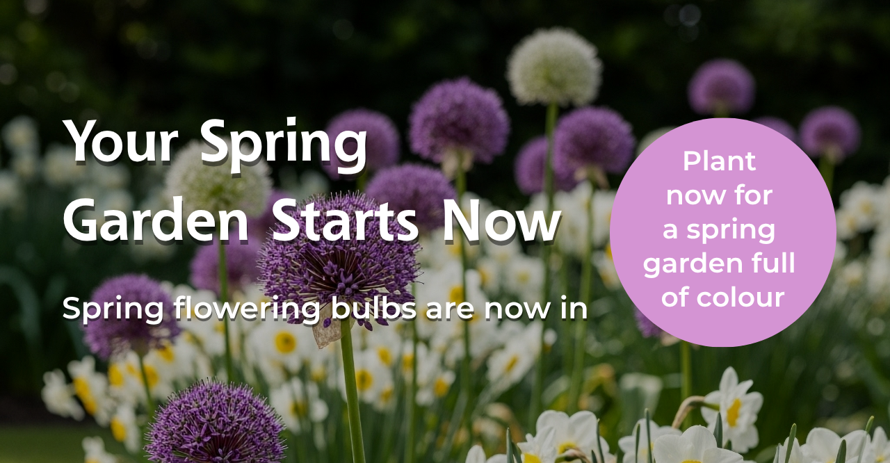 spring garden homepage banner